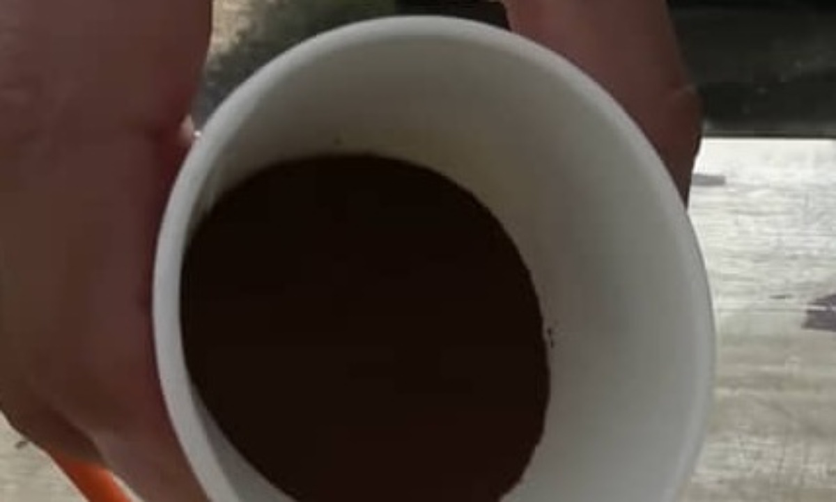 飲んでいる“コーヒー”を植物にかけたら…… 「最強じゃない!?」とんでもない光景に「なるほど」「試してみます」(1/3) | ライフハック ねとらぼ