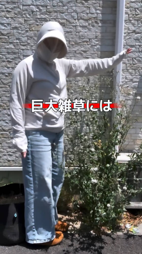 旺盛な生命力を発揮する“化け物雑草”