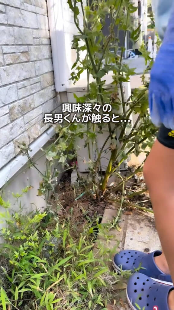長男くんが触ってみると……