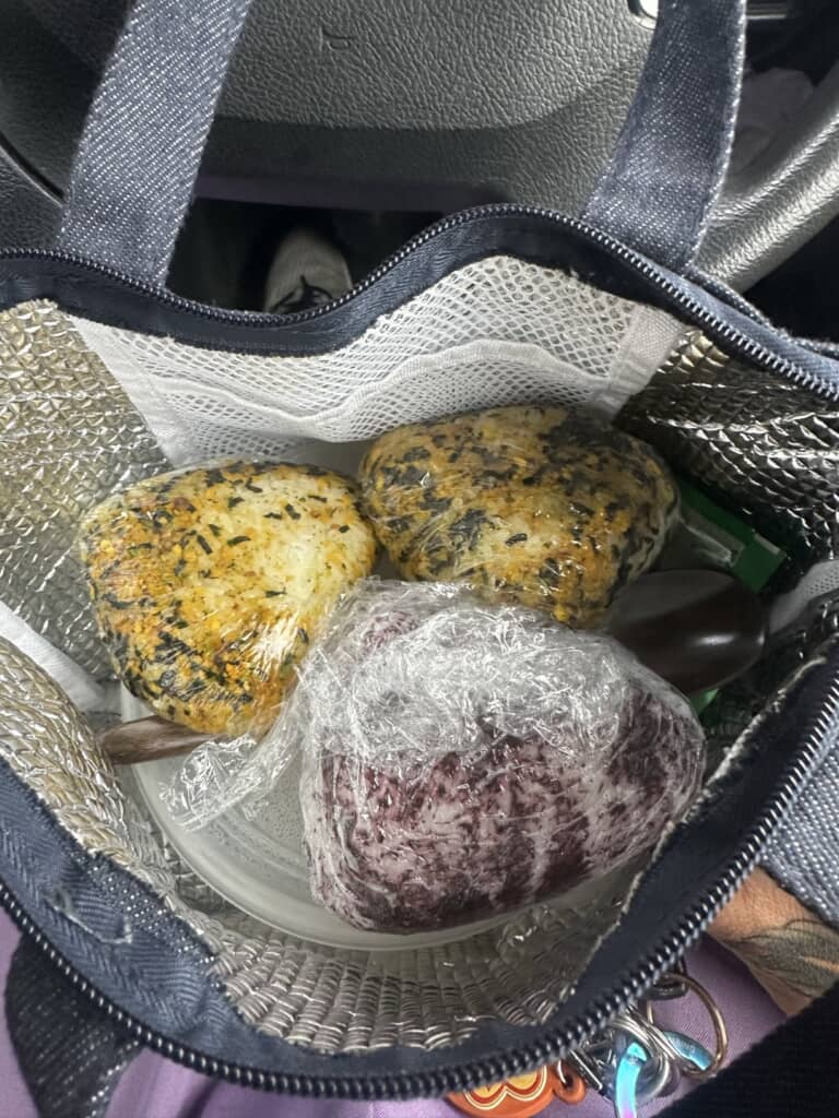 保冷バッグの中におにぎり3個
