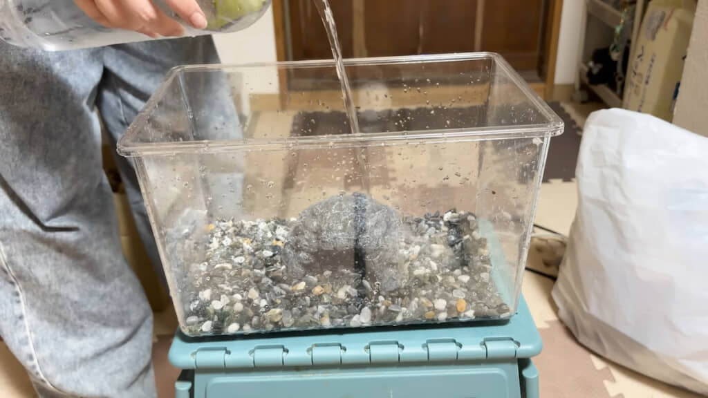 飼育環境を整える