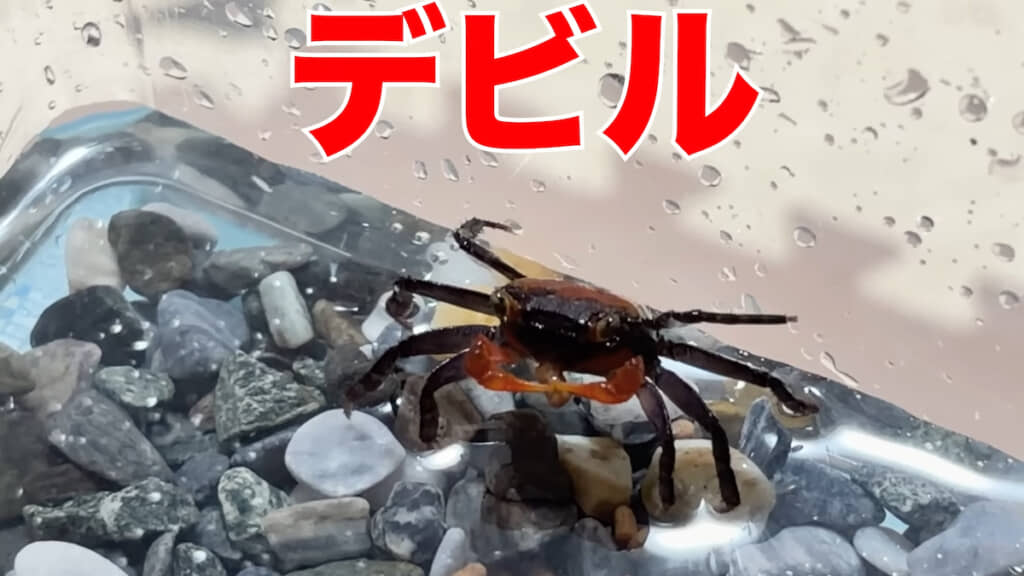 命名「デビル」