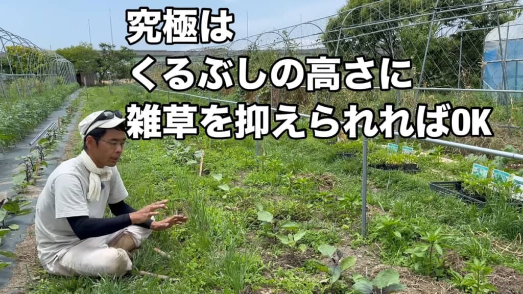 雑草の高さはくるぶし程度に抑えている投稿者