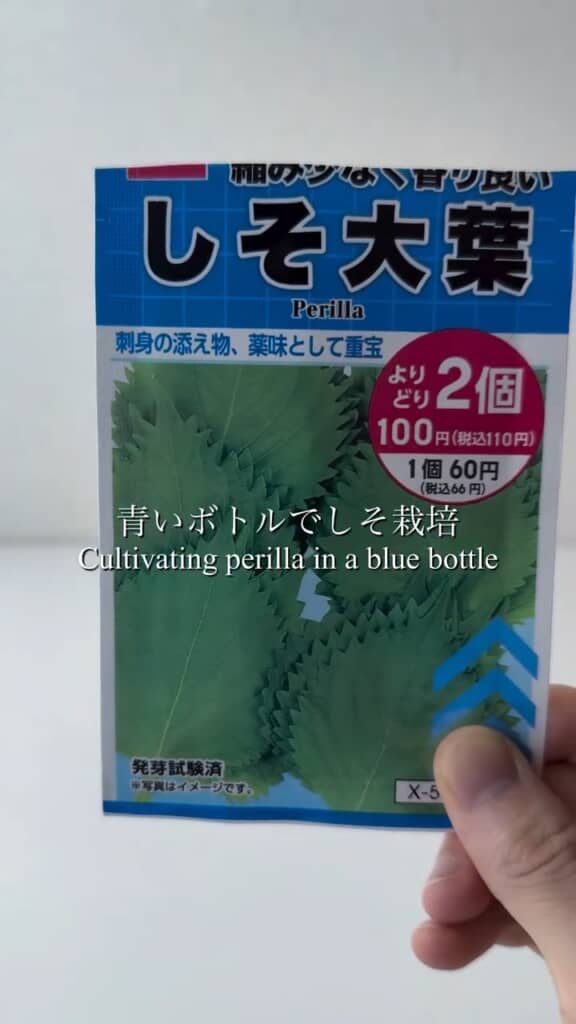 ダイソーで買ったシソの種。1袋で66円、よりどり2個セットで110円