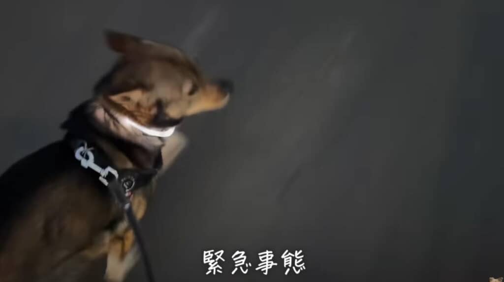 緊急事態発生!
