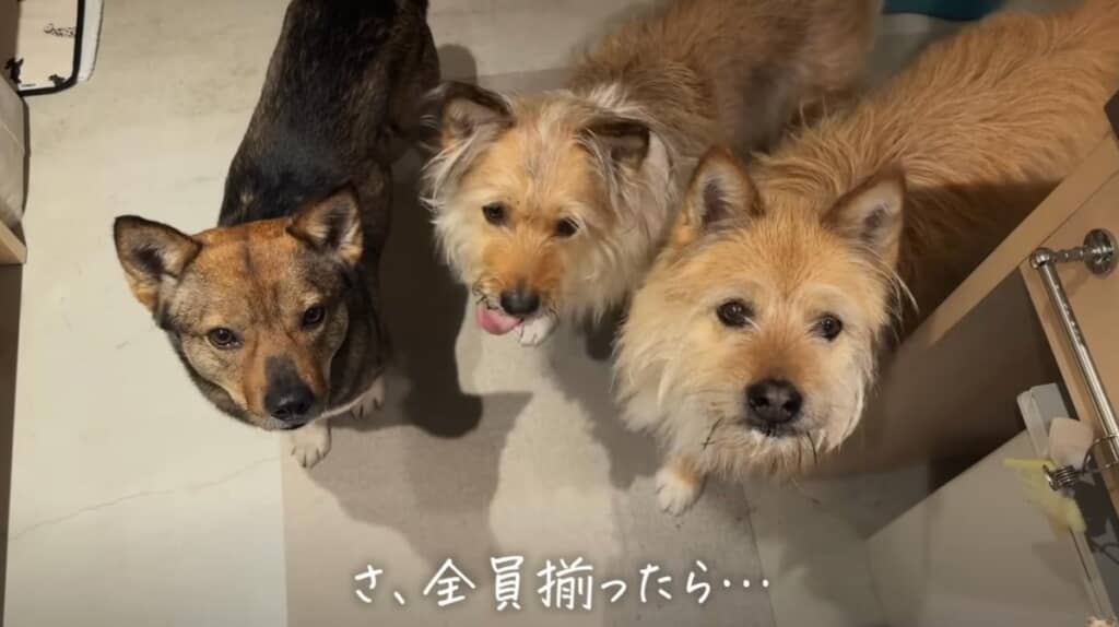 おやつタイムも!