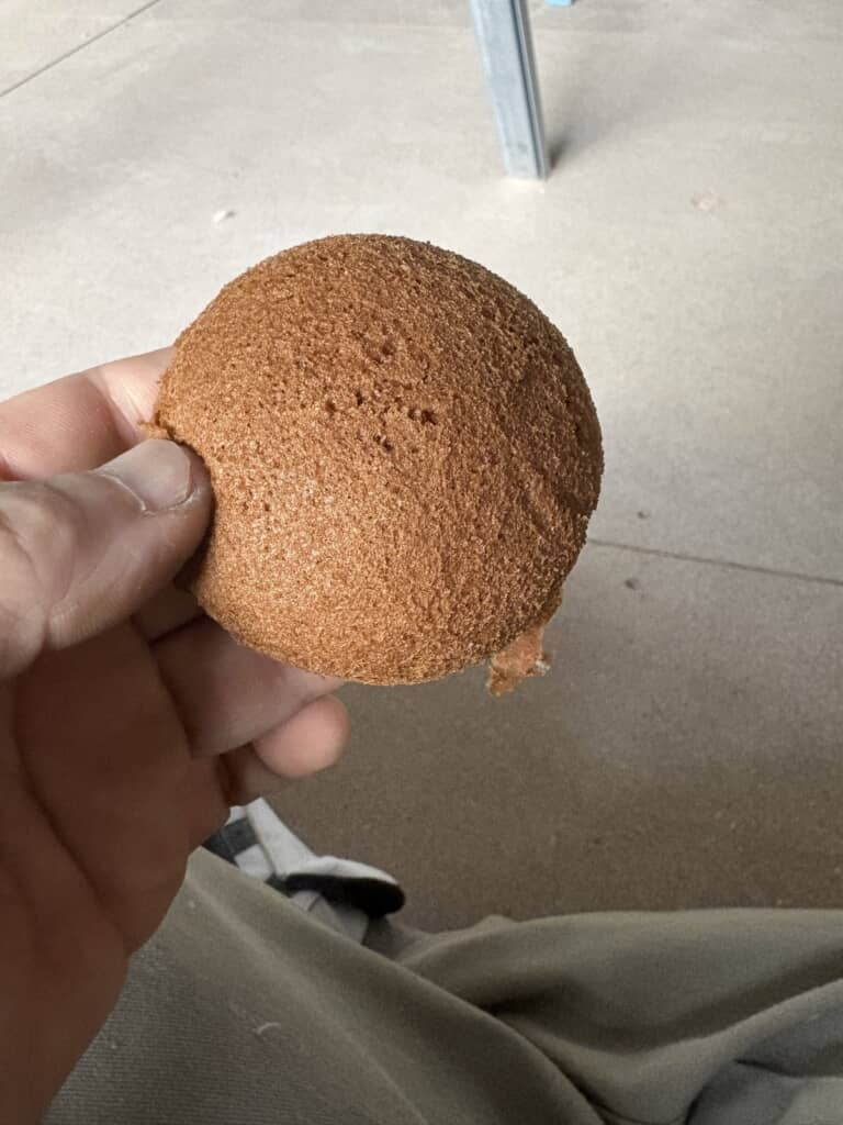 薄皮がもっていかれた黒糖まんじゅう