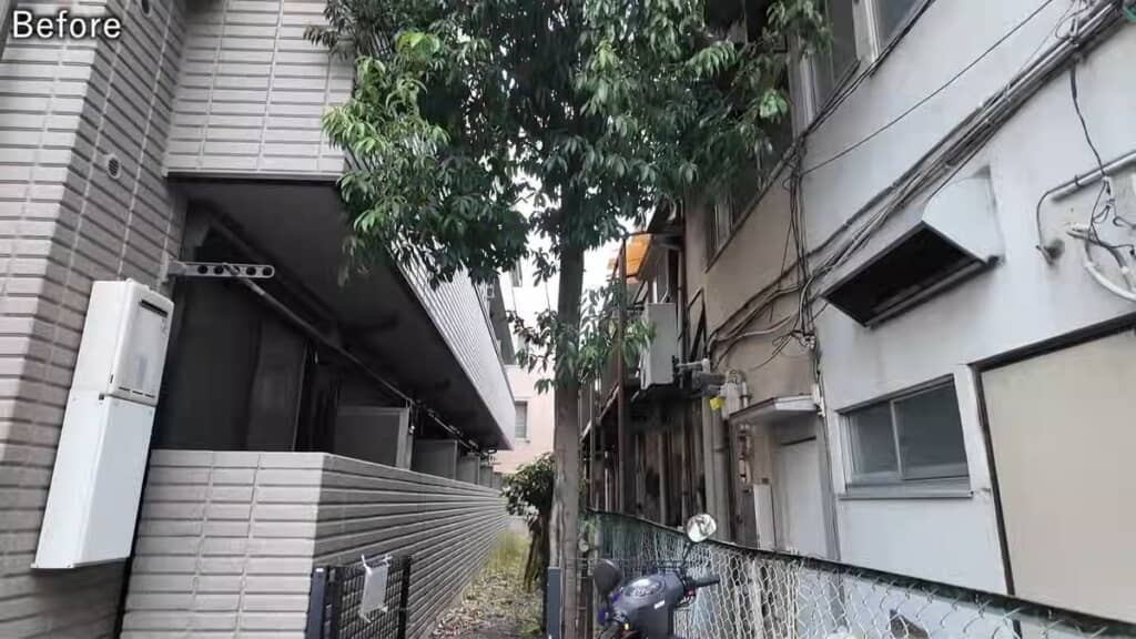作業前の樹木