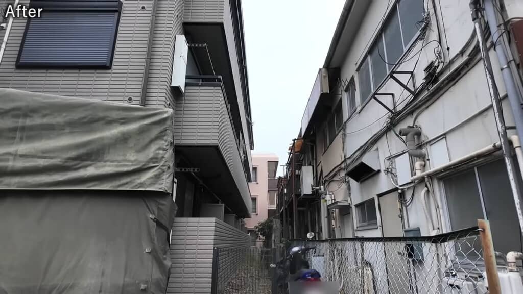 作業後の樹木