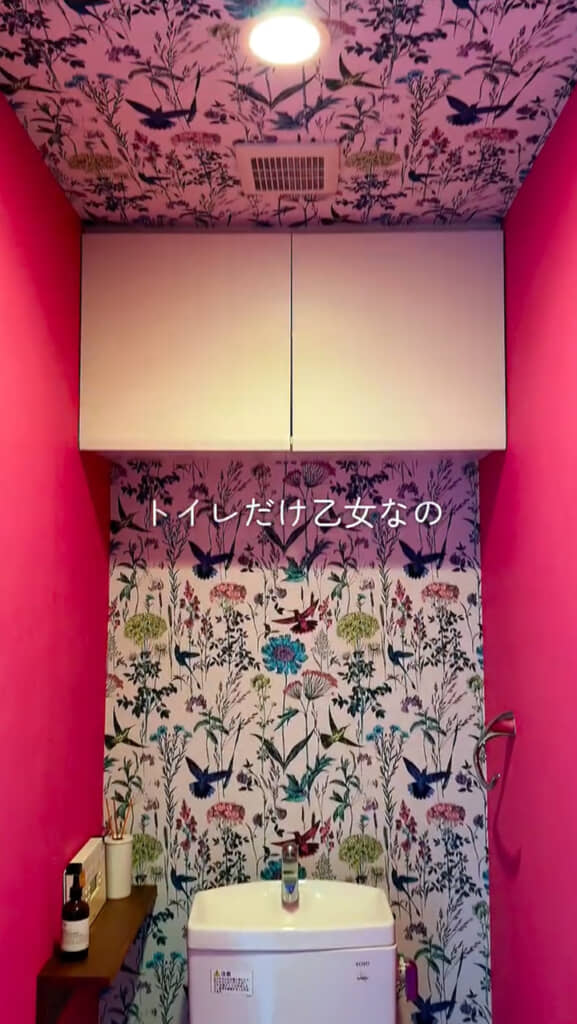 トイレだけ乙女
