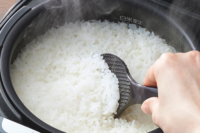 炊き立てごはん