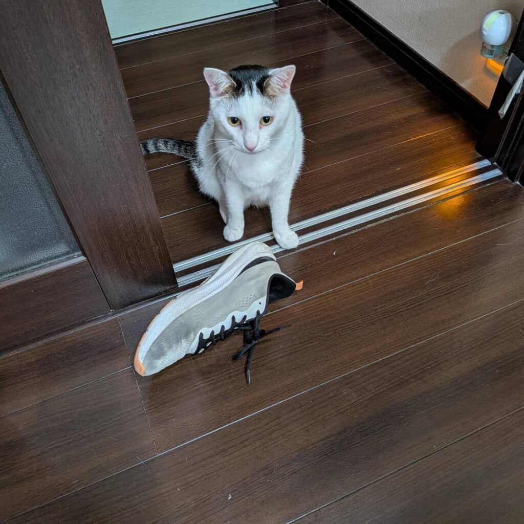 三男さんの靴をお届け