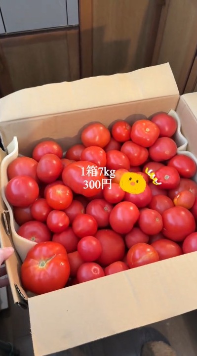 安いうえにおいしそう