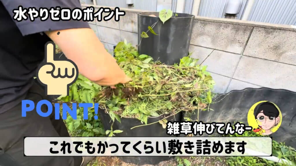 手作りレイズドベッドに雑草を敷き詰めると……