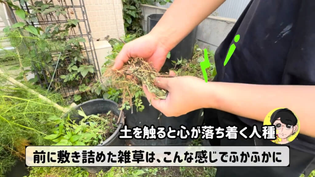 前回敷き詰めた雑草は時間を経てやわらかくなっていました