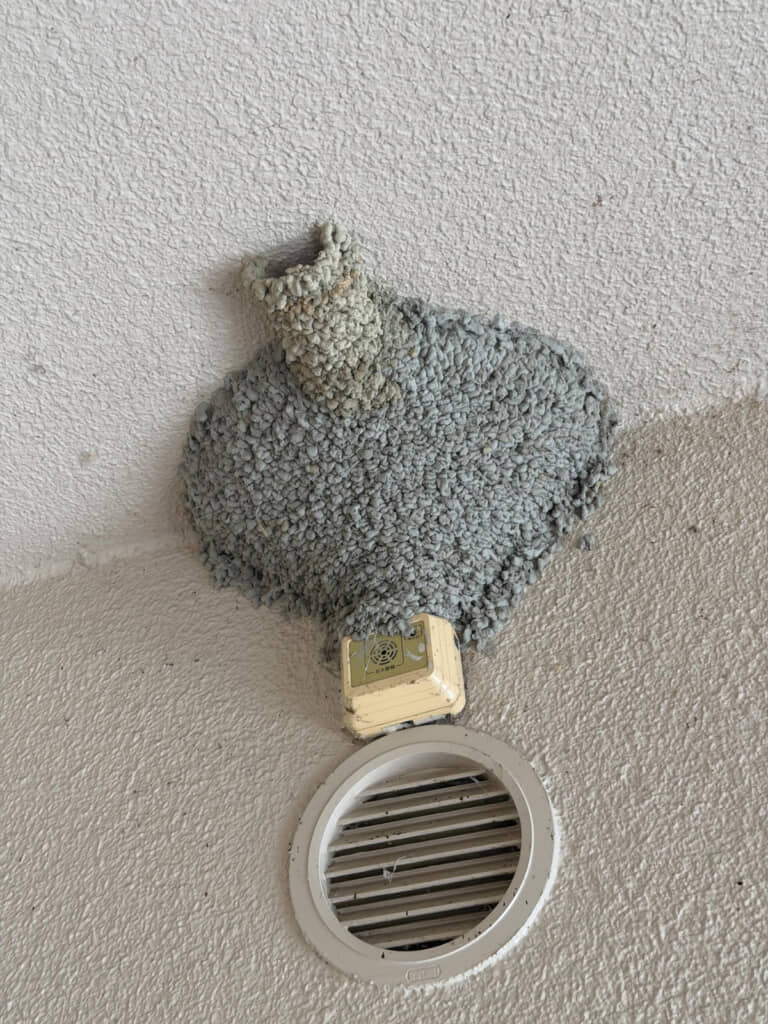 見たことのない作り！