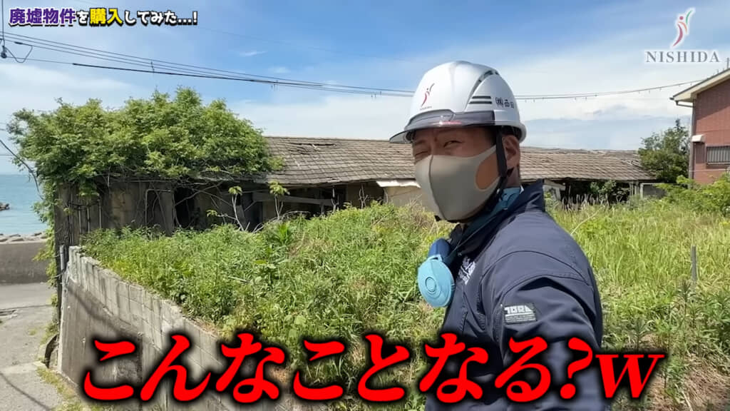 生命力旺盛な木が屋根を貫通