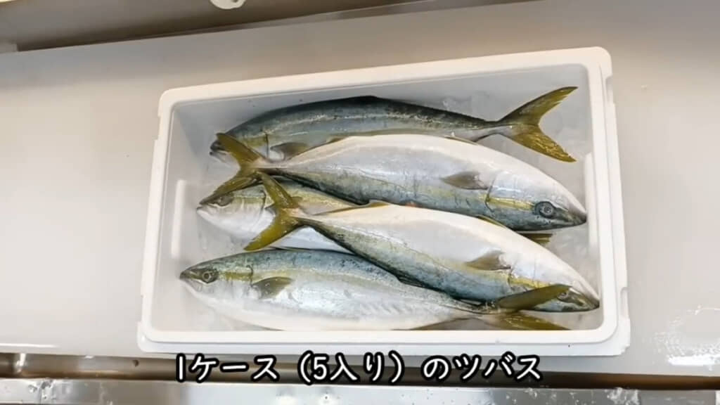 ケースを開けたときの魚の向きに注目