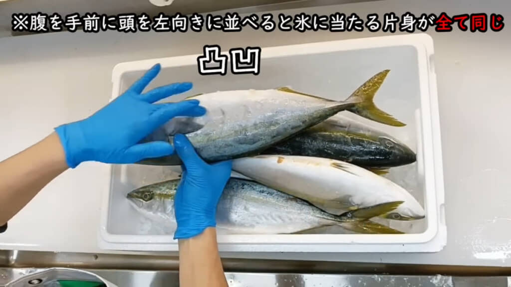 全部の魚の右半身(下身)に、氷でできた凸凹がありました