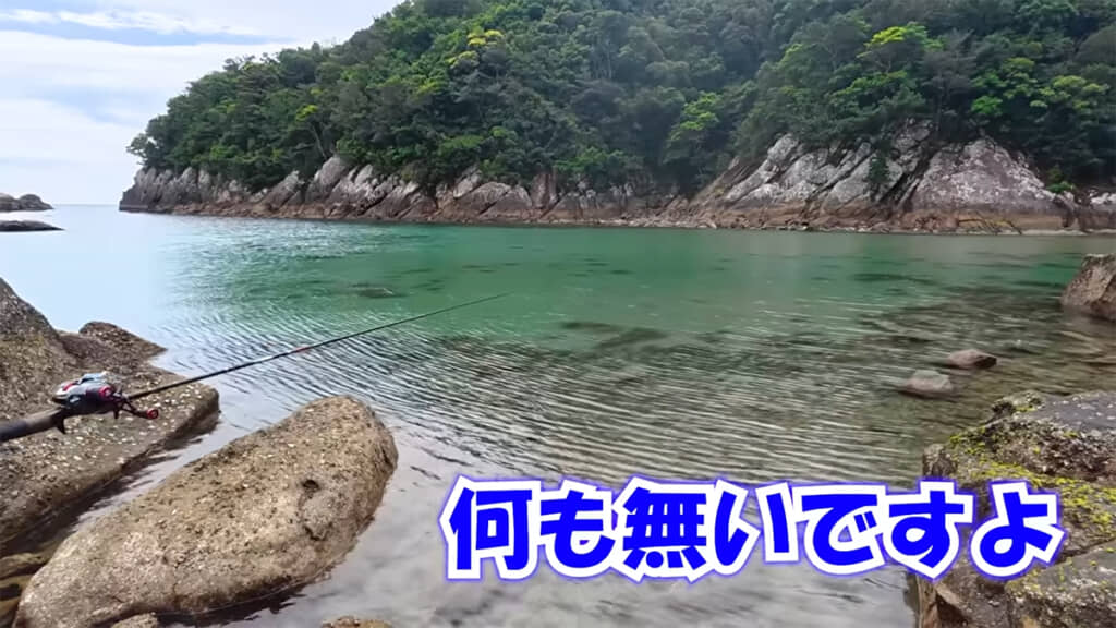 魚がいるようには見えませんが……