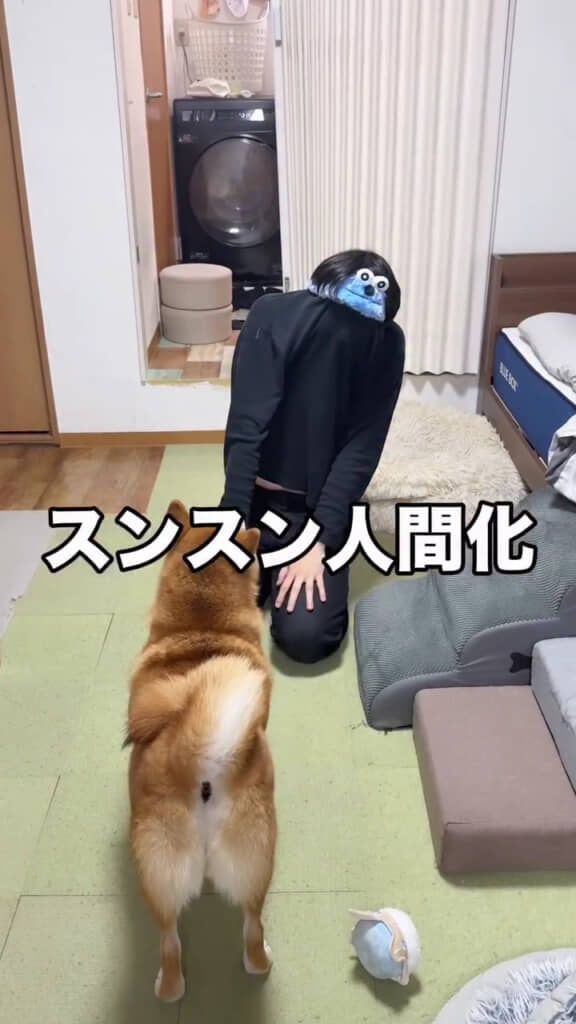怪しいスンスン