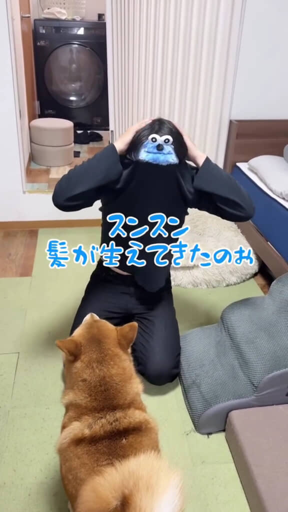 髪がはえてきたらしい