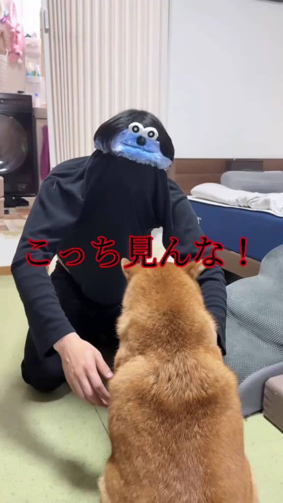 カメラ目線も忘れない