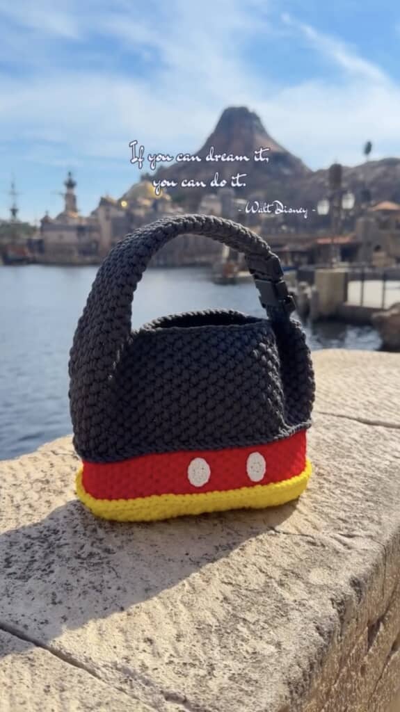 ディズニーシーに持って行きました