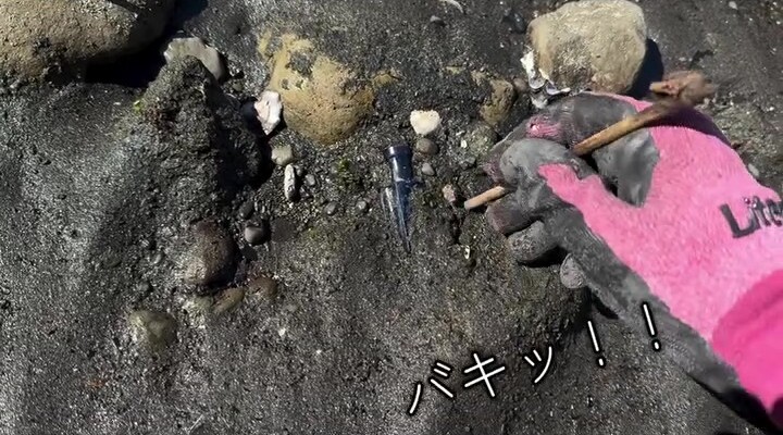 木の枝がポキっと折れてしまう