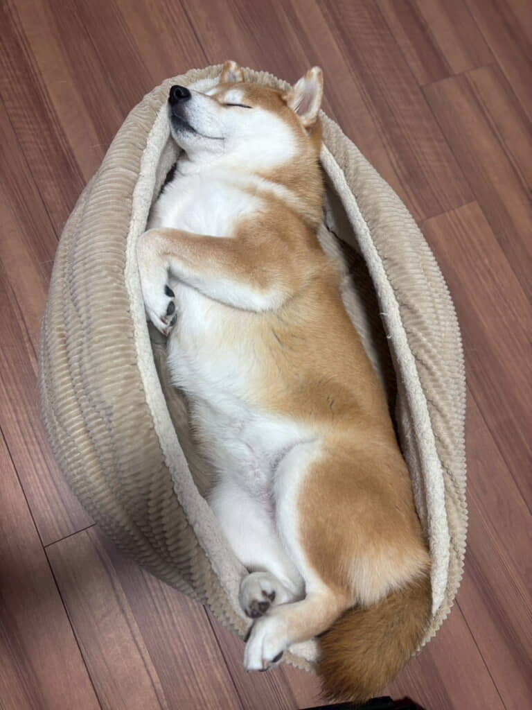 気持ち良さそう〜！
