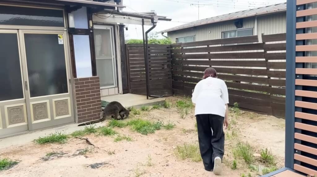 さらにそーっと近づくと