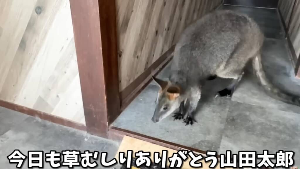 草むしりありがとう!
