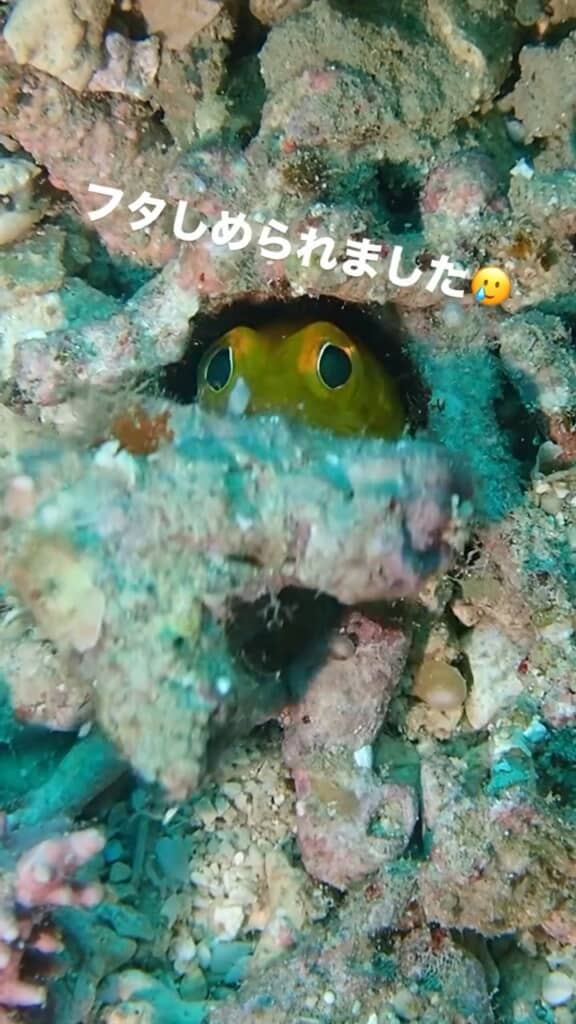 器用にふたを閉めている途中