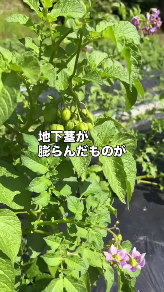 普段食べているのは別の場所