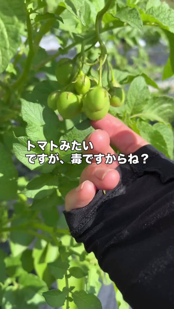 毒があります!