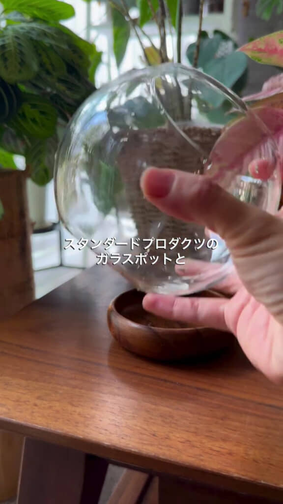 シンプルなガラスポット