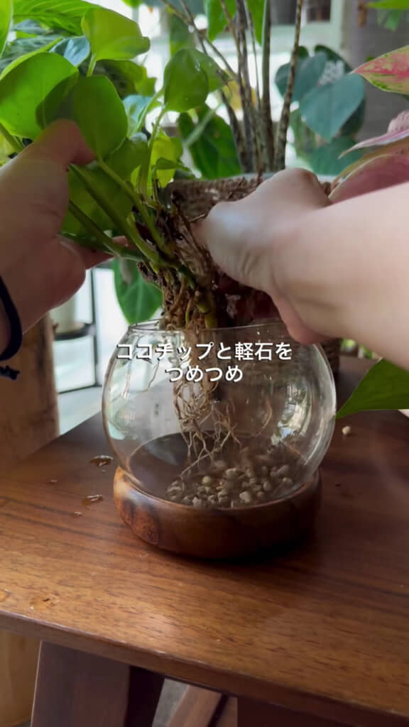 中にはココチップと軽石
