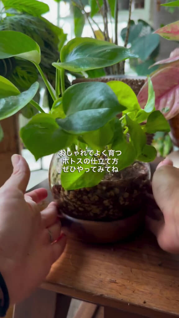 あっという間にすてきなインテリアに