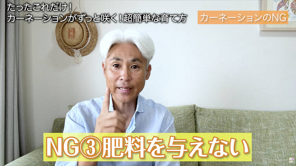 最初は月1回の肥料が必須