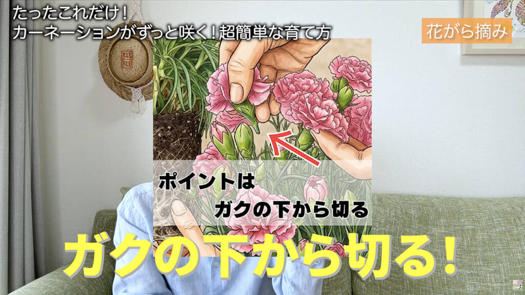 がくの下を切るのがポイント