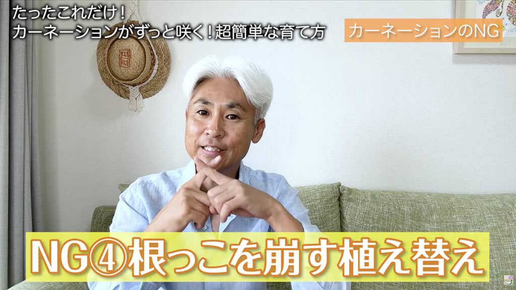 植え替え時は根を崩さないよう注意