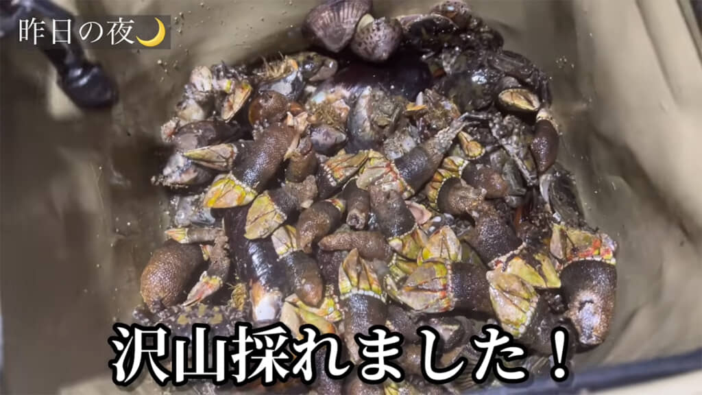 エサと撒き餌を確保してきました