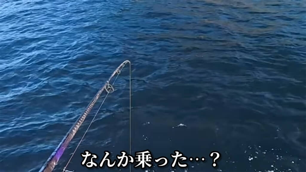 何か大きな魚がかかったようです