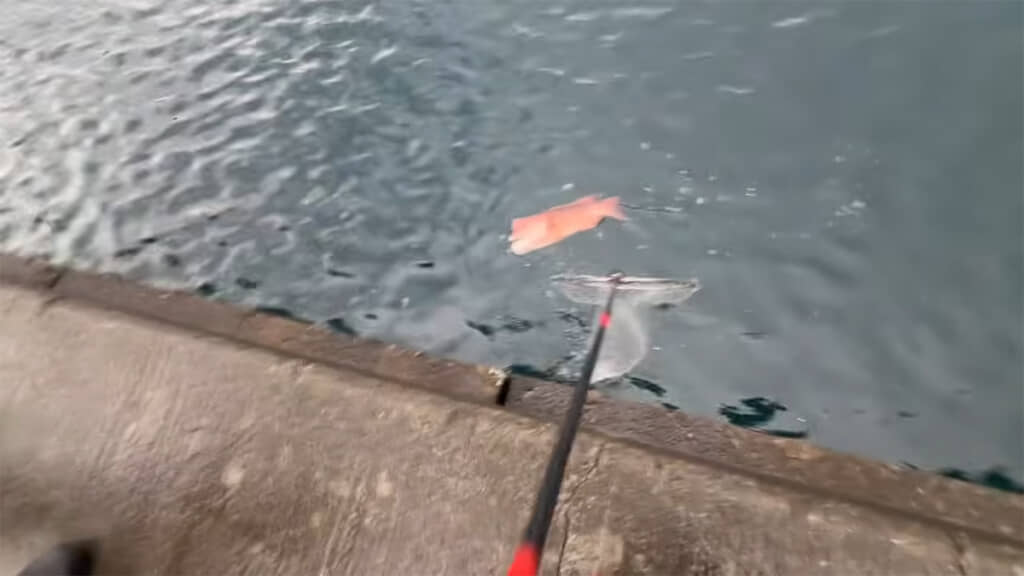 海中から姿を現したのは