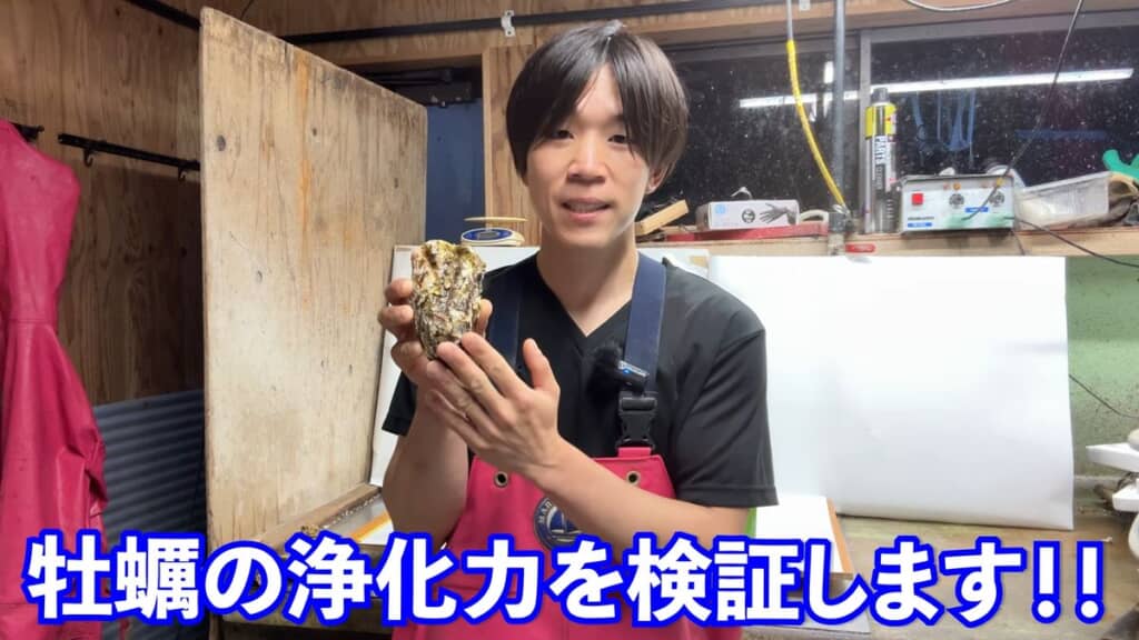 カキの浄化能力を検証したい投稿者