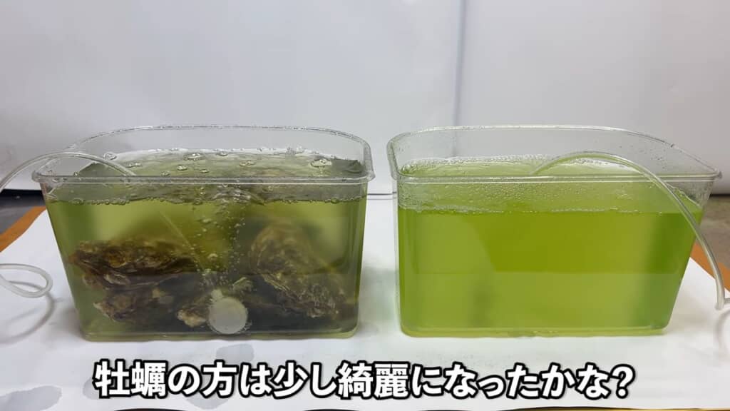少し濁りが減った印象の30分後の状態