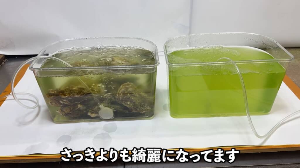 濁りが減った印象の1時間後の状態