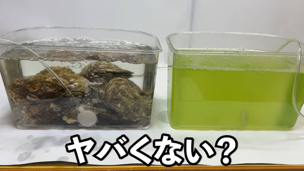 濁りが一切なくなった3時間後の状態