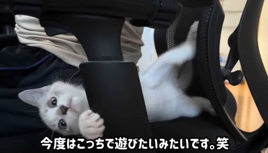 ジャングルジム？w