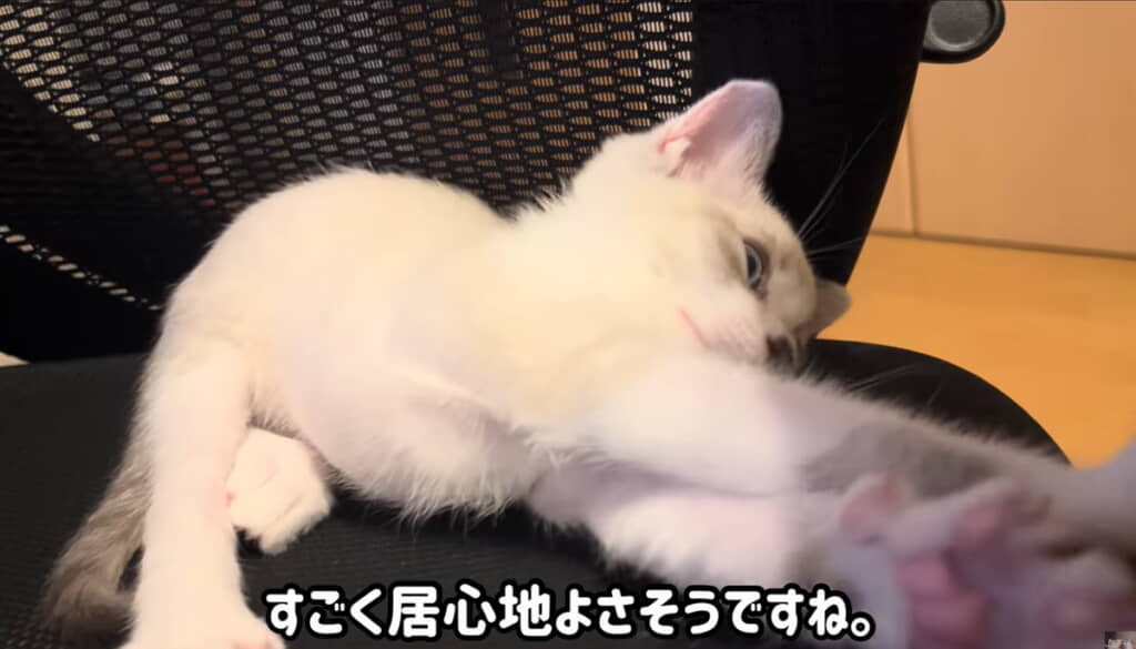 とてものびのびしています